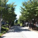 원조기사분식 이미지