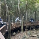 모두와 하루(무장애 여행) | 다리가 불편해도 가기 좋은 전국 무장애 여행지 5선 | 휠체어 접근 가능한 열린관광지 완벽 가이드