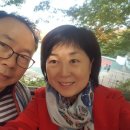 서울교육대학교 이미지