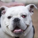 나루동물병원 이미지