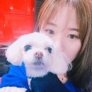 해부학적 운동 군자점 | 고객 입장 100% 군자필라테스 방문 비교 (그룹/웨이트 믹스/요가 필라테스/1:1)