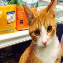 닥터멍동물병원 이미지