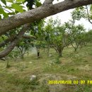 새순1농장 이미지