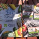 국공립 삼정어린이집