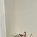 프롬마이시즌스