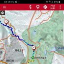 세포삼거리 이미지