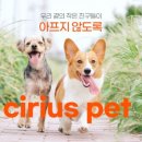 펫페이지 이미지