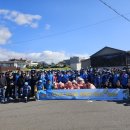 서귀포시니어클럽 이미지