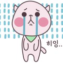 샵윤헤어 이미지