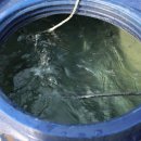 홍이농장 이미지