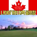 그린골프크리닉 | 나이아가라 골프 여행, Rolling Meadows 골프 코스 골드 멤버의 리얼 후기