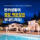 백운정원애견동반펜션
