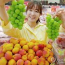 플럼마트 이미지