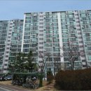 포항시남구15 네이버블로그