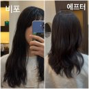 화실헤어 | 허쉬컷 잘하는 금천동 미용실 빛,화실 헤어살롱 후기