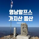 영남밧데리 | [영남알프스 완등 도전] (2) 가지산 최단 코스