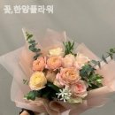 꽃;한양플라워