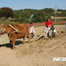 횡성한우 이미지