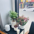 타이어프로광주점 이미지