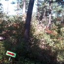 외씨버선길(치유의길) 이미지