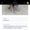 몽디구룸 네이버블로그
