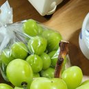 영재농장 이미지