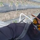 서대리농장 이미지