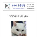뉴케어동물병원 이미지