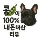 명품꽈베기 | [이배재맛집]가성비맛집 “스마일찹쌀명품꽈배기”