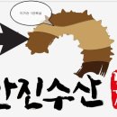 안진수산 네이버블로그