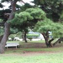 정이품송가든 이미지