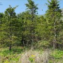 쌍룡초 토교분교장 이미지