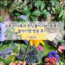 현대백화점중동점 | 유튜버 다흑의 반딧불이 나비 특별전 현대백화점 중동점 부천 돌 아기랑 방문 후기