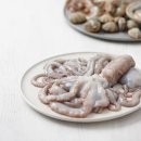 송송낙지 이미지