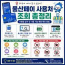 울산페이 사용처 조회 총정리, 가맹점 찾기 및 사용 가능 매장 확인 방법