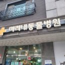 미리내동물병원 | 별내 "미리내동물병원" 코코 중성화수술 후기