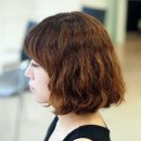 더블유본헤어 이미지