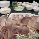 조은낙지 이미지