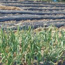 상대동6 이미지