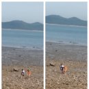 은골농장 이미지