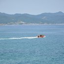 영덕싱싱농원 네이버블로그