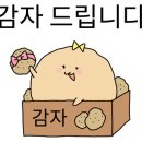 꼬꼬리아 이미지