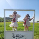 5월 전남 축제 인산인해 해남공룡대축제 해남공룡박물관 (소소한 팁)