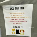 조천고깃간