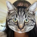 성남대로 1139번길 이미지