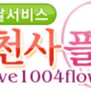 김해꽃배달