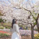 하얀쉼터 이미지