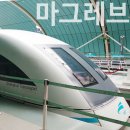 자기부상철도 합동청사역 | 상하이여행 마그레브 타고 시내 가는법 요금 시간표