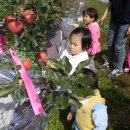 신남어린이집 이미지