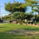 삼봉민박 | [태안 민박 추천] 강솔재민박, 아이와 함께한 태안 가족여행 숙소